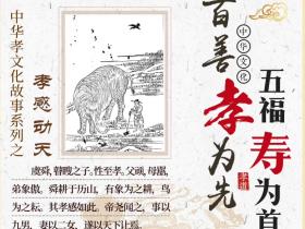 送礼,只送皇寿源!