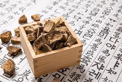 药食同源-葛根-图片2