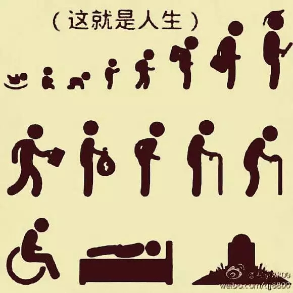 慢性炎症与衰老